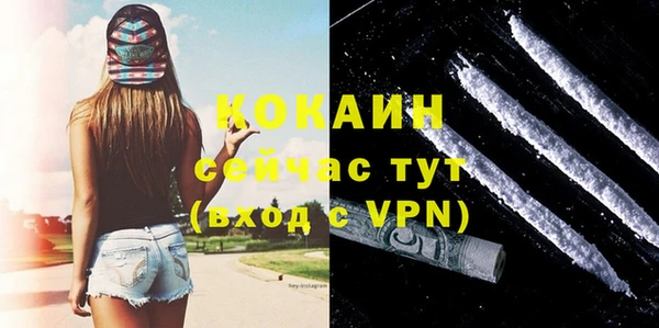apvp Богородицк